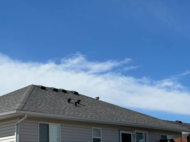 Best Steel Roofing  in Loyalhanna, PA